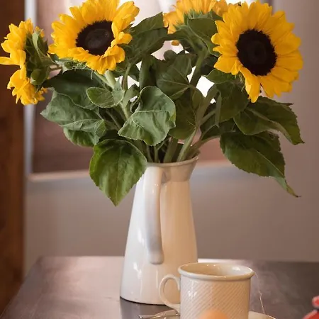 Apartamento The Loft