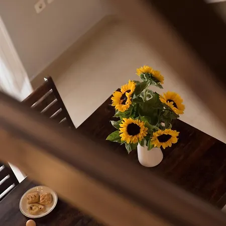 Apartamento The Loft *